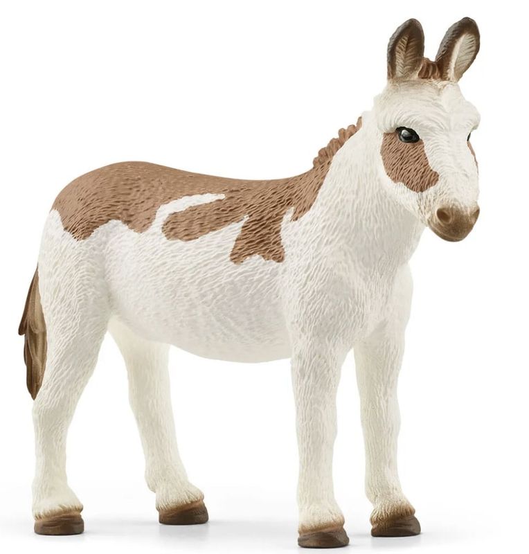 American Spotted Donkey