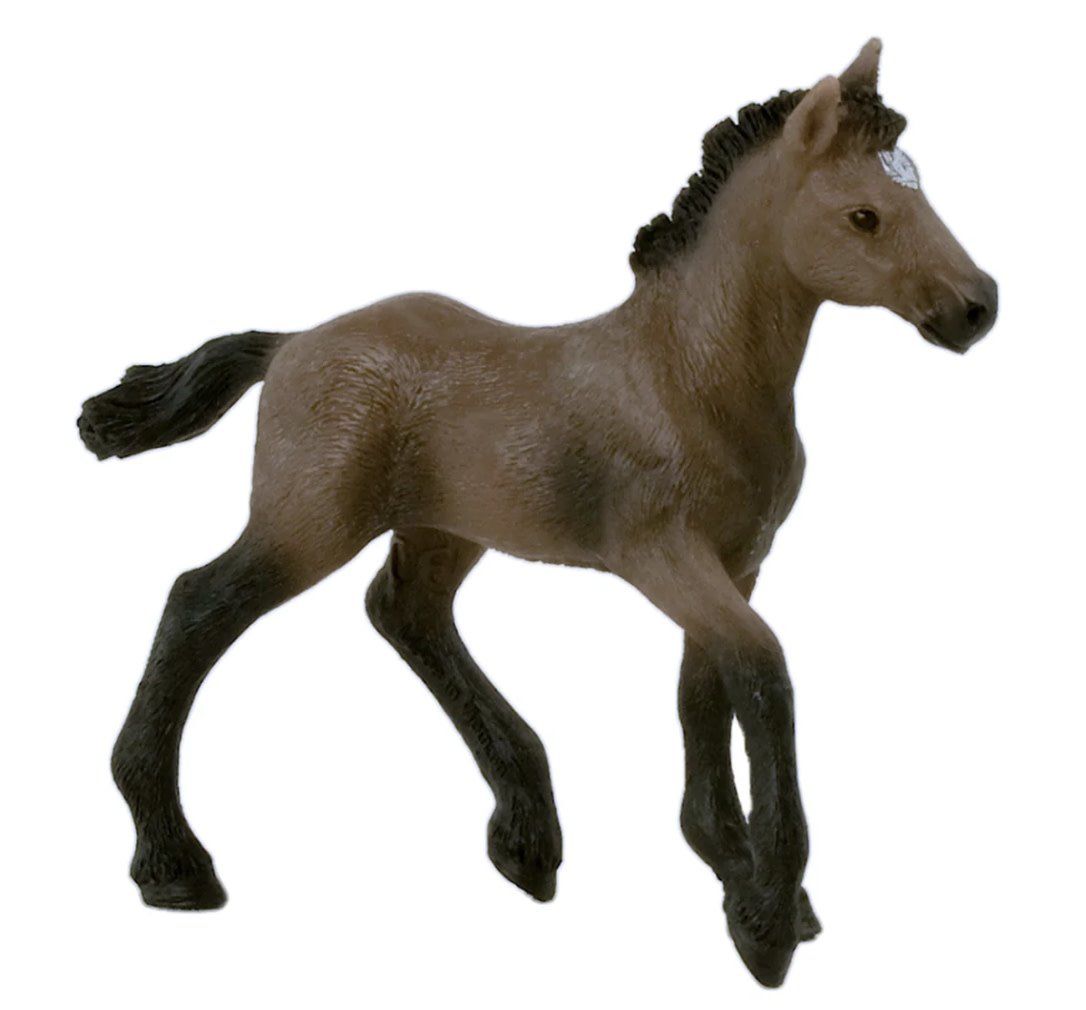 Paso Peruano Foal