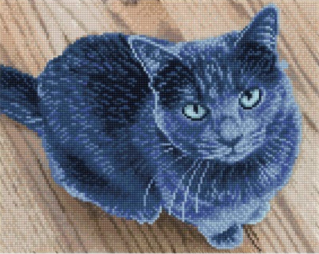 DQ8 Square Dotz Velvet