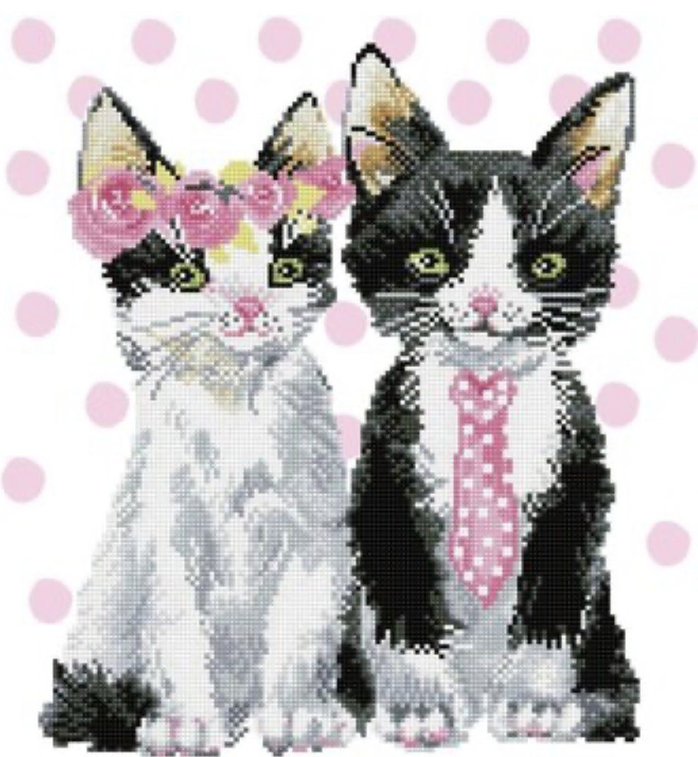 DD9 Mr &amp; Mrs Pink