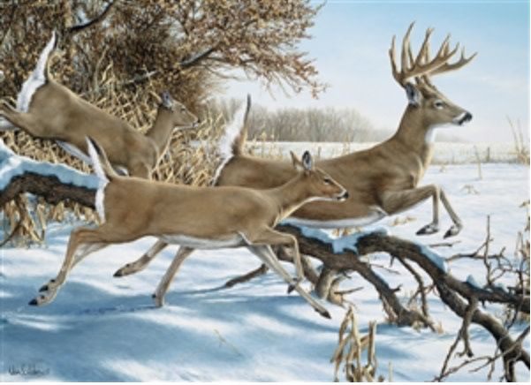 Breaking Cover 1000 pc Puzzle