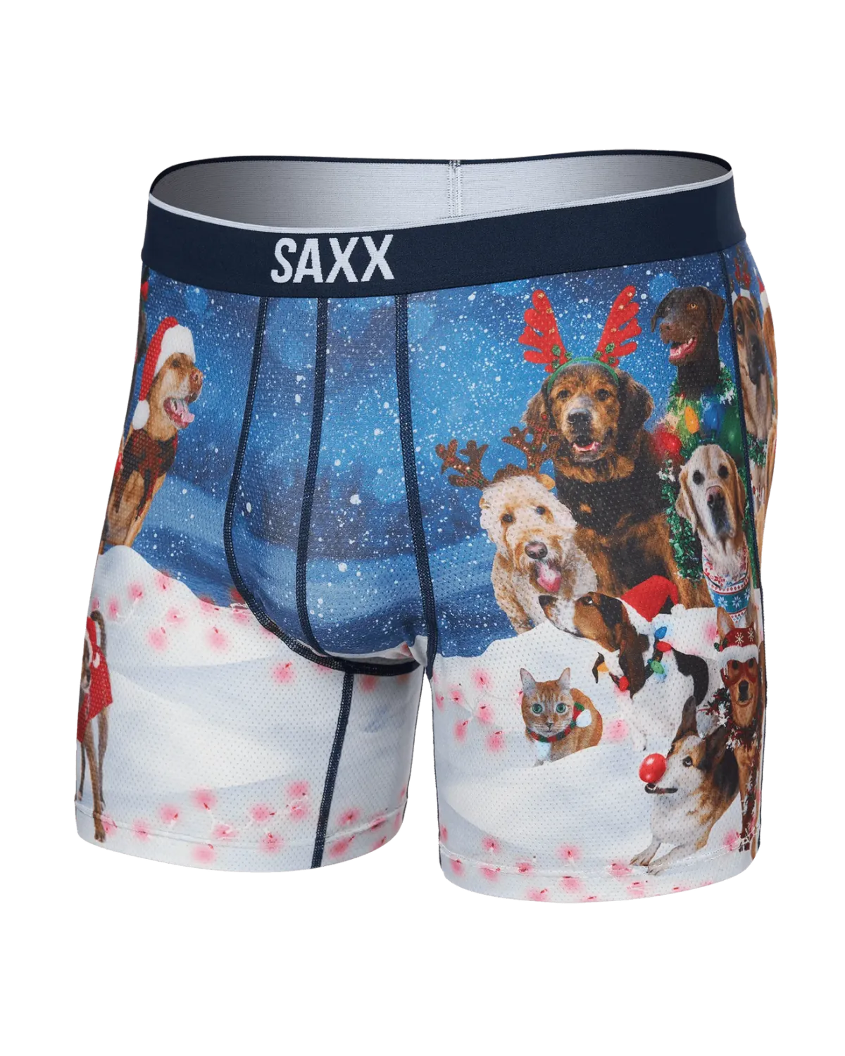 Saxx Volt Boxer - Dogs of Saxxmas
