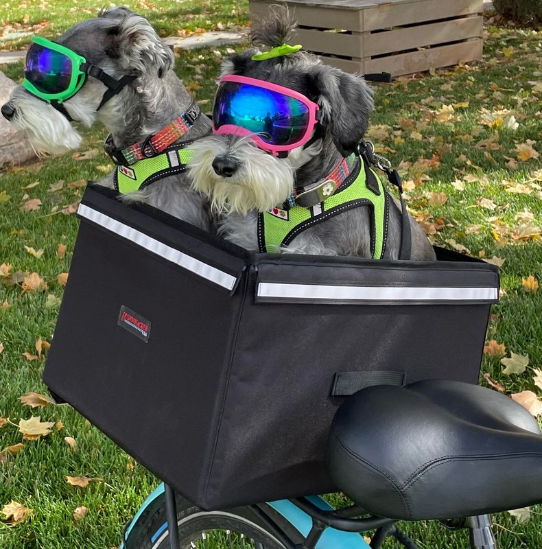 Bushwhacker Portland - Bike Rack Dog, Grocery and Goods Carrier - Bicycle Pannier Crate Cycling Basket