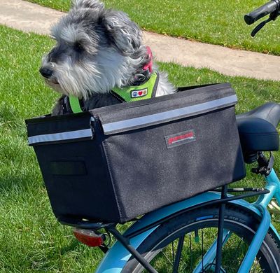 Bushwhacker Portland - Bike Rack Dog, Grocery and Goods Carrier - Bicycle Pannier Crate Cycling Basket Trunk Bag Rear Bed Storage Leash Carry Cargo Pet Commuter Behind Seat Accessories Ebike (Small) Bushwhacker Portland - Bike Rack Dog, Grocery and Goods Carrier - Bicycle Pannier Crate Cycling Basket Trunk Bag Rear Bed Storage Leash Carry Cargo Pet Commuter Behind Seat Accessories Ebike (Small)