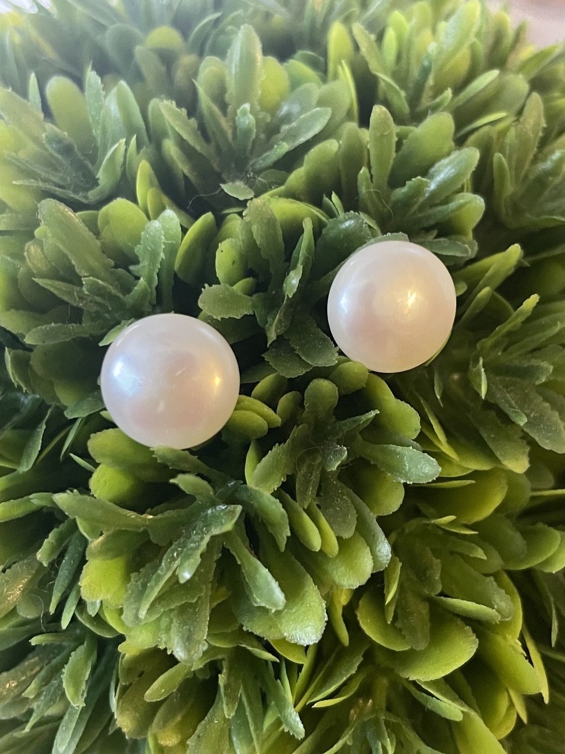 Simple Pearl Stud Earrings