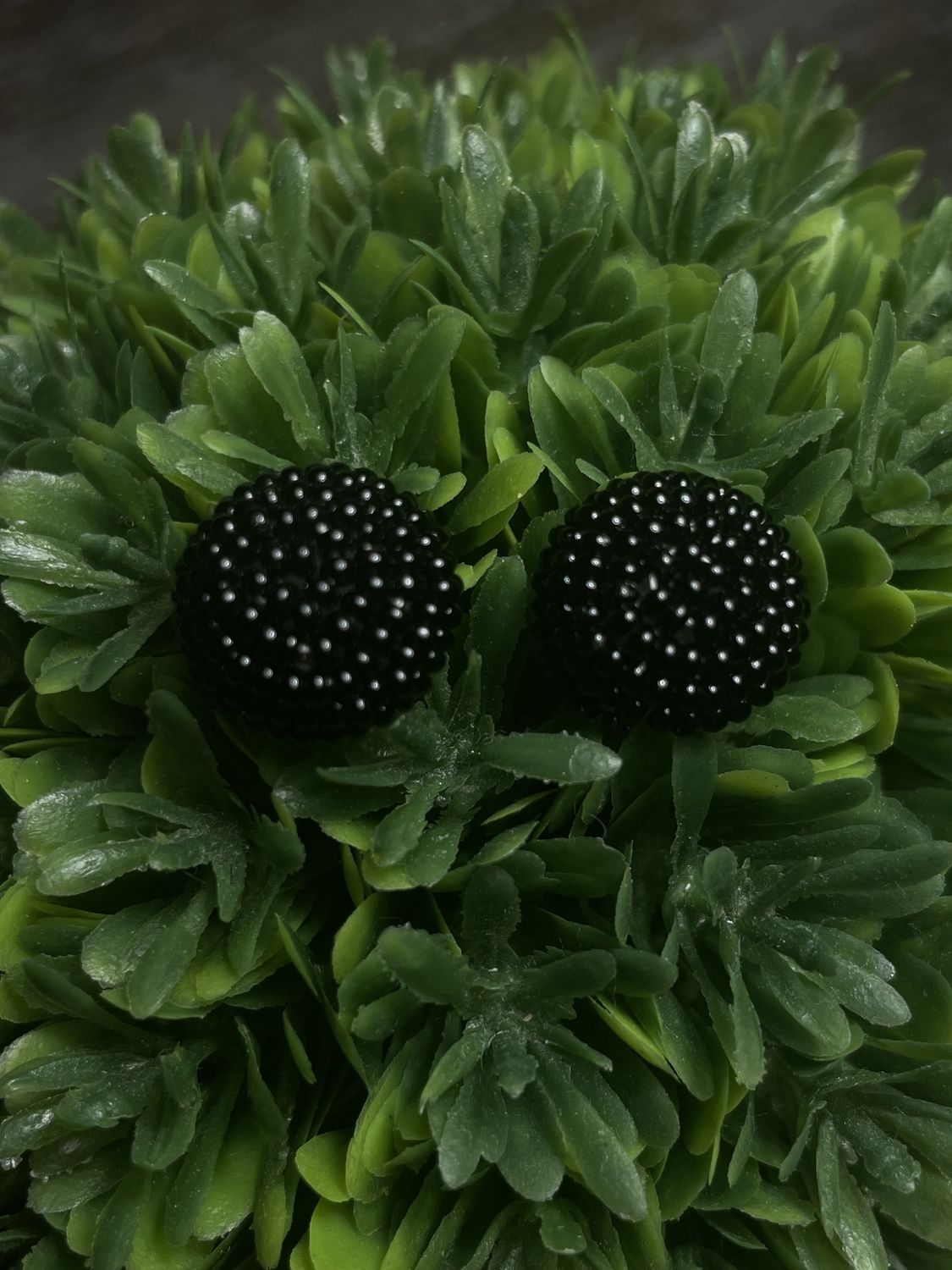 Black Seed Beaded Dome Stud Earrings