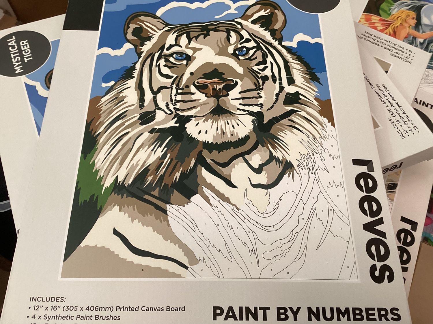 Paint By Numbers Mystical Tiger