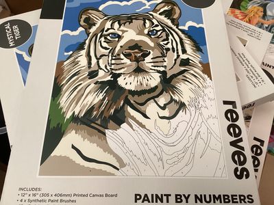 Paint By Numbers Mystical Tiger