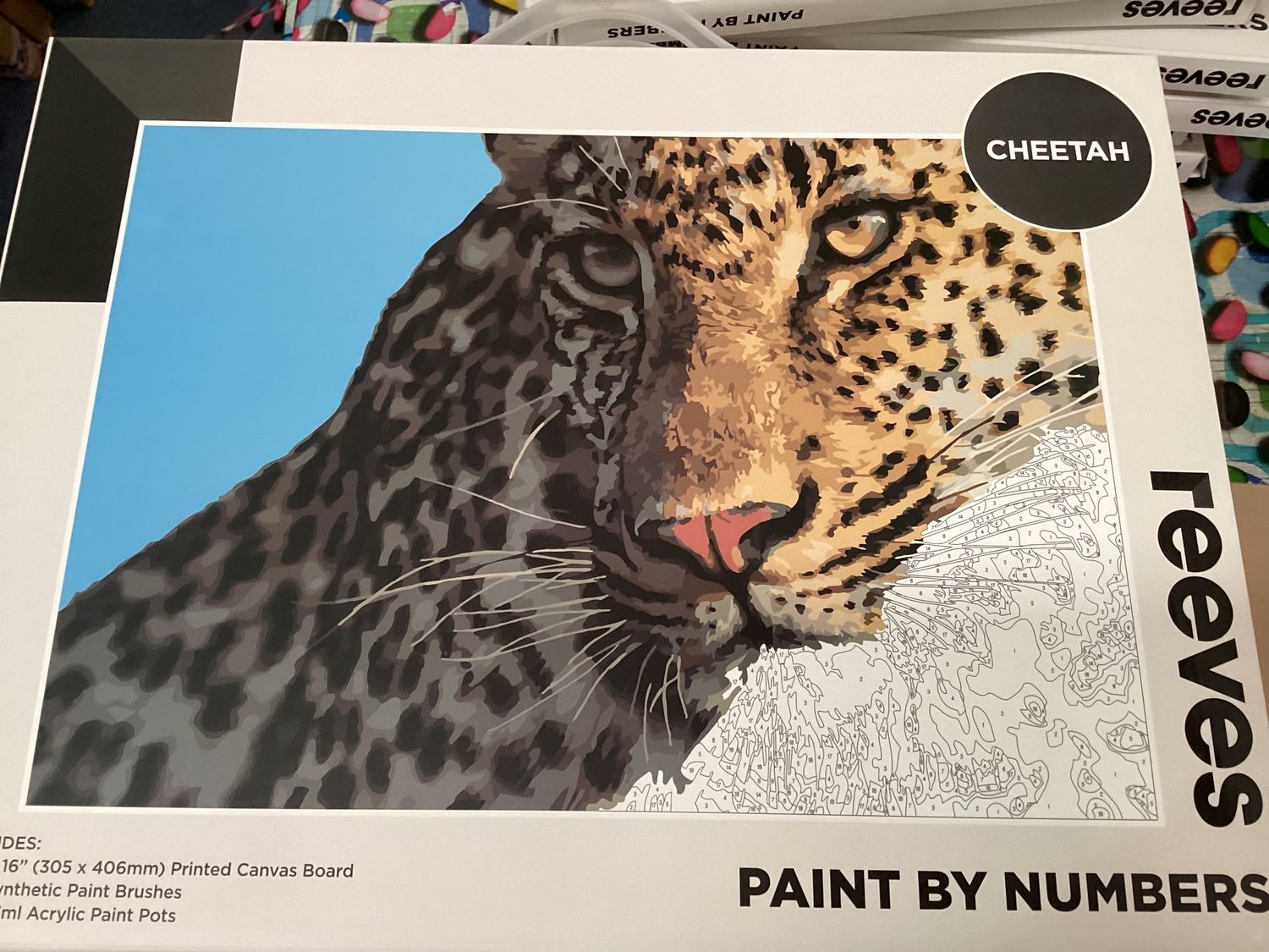 Paint by Numbers