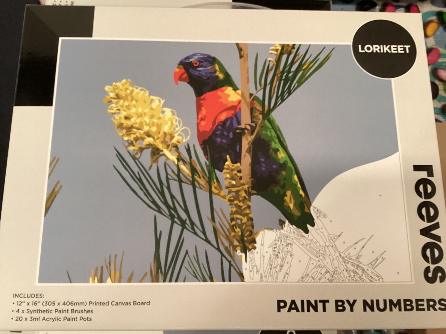 Paint by Numbers Lorikeet