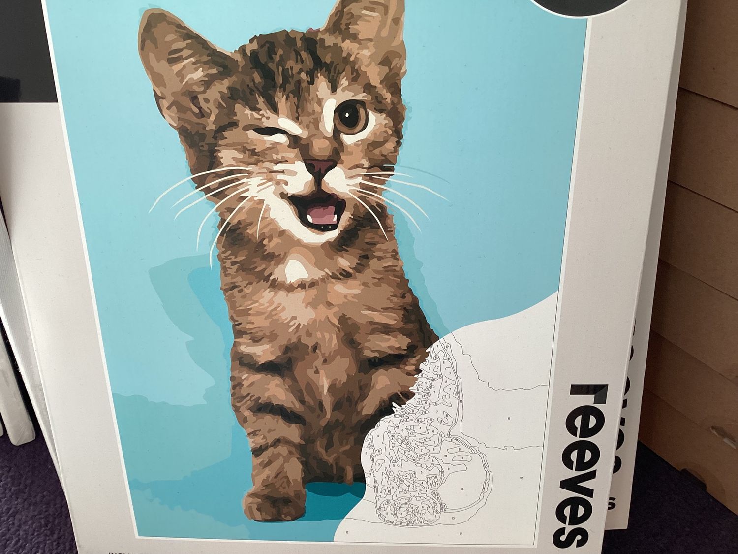 Paint by Numbers Kitten