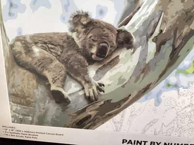 Paint by Numbers Koala