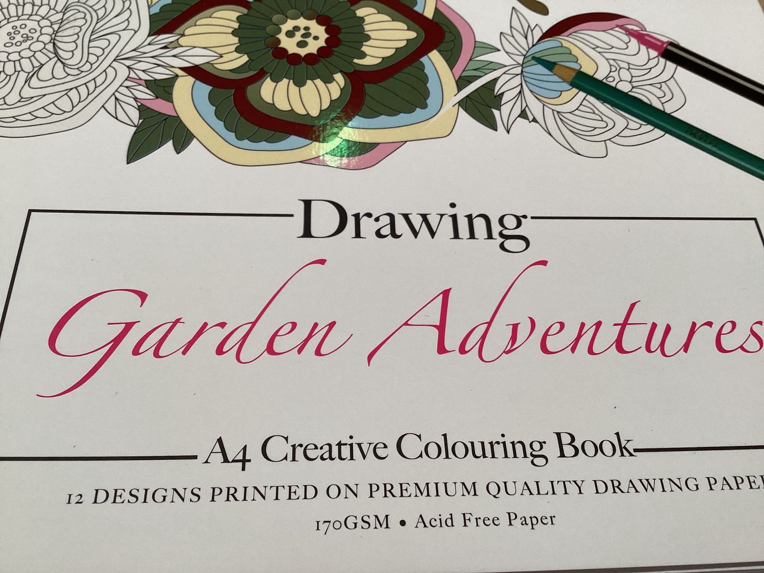 Drawing  Garden Adventures