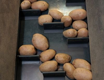 Nastri trasportatori per l'agricoltura