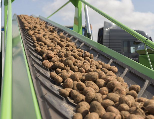 NASTRI TRASPORTATORI PER L'AGRICOLTURA