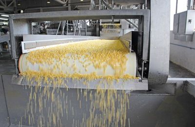 Nastri trasportatori per industria alimentare