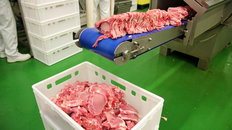 NASTRI TRASPORTATORI PER LA LAVORAZIONE DELLA CARNE