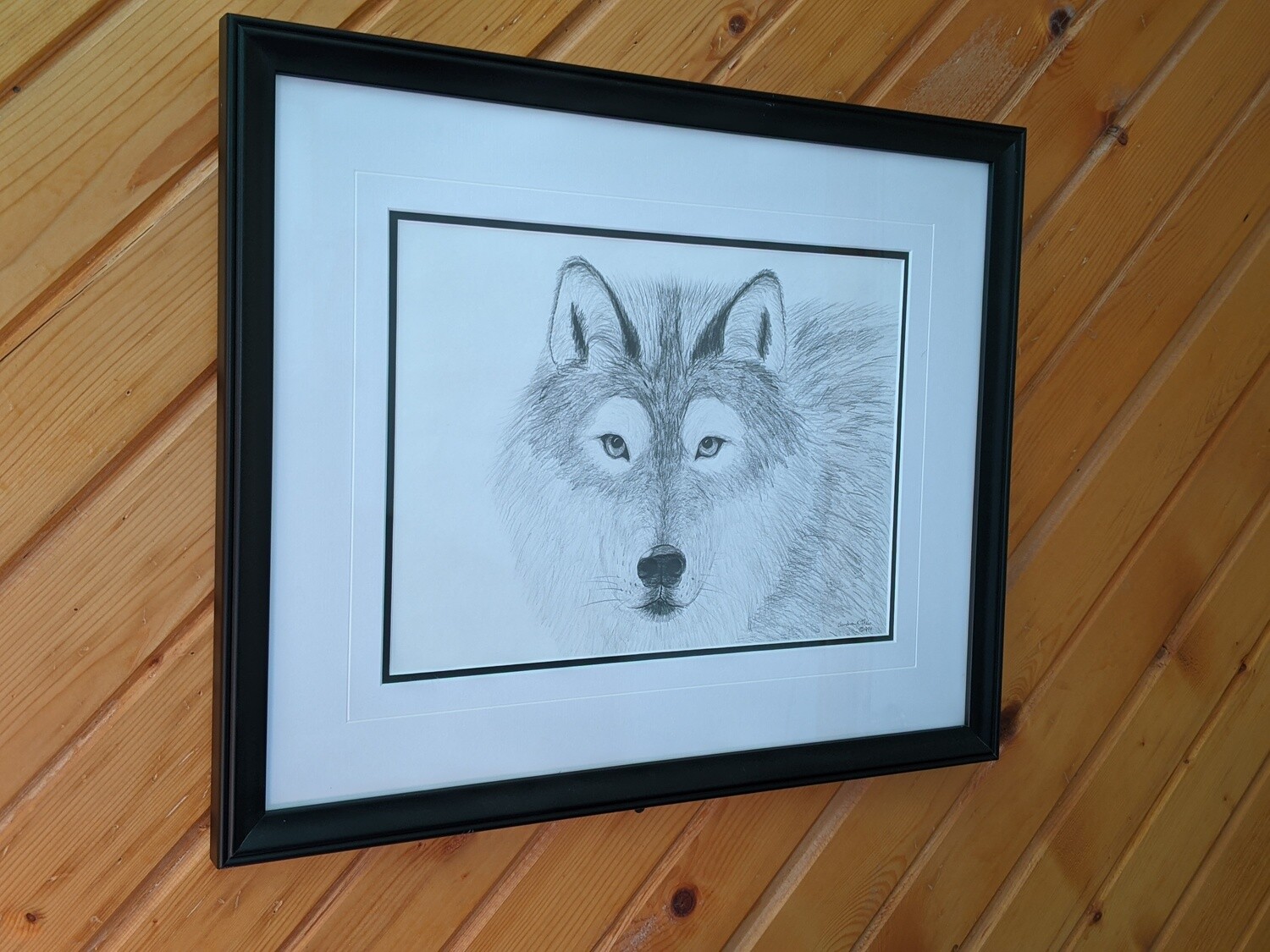 Timberwolf-Pencil Sketch