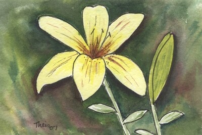 Lily-Watercolor and Pen
