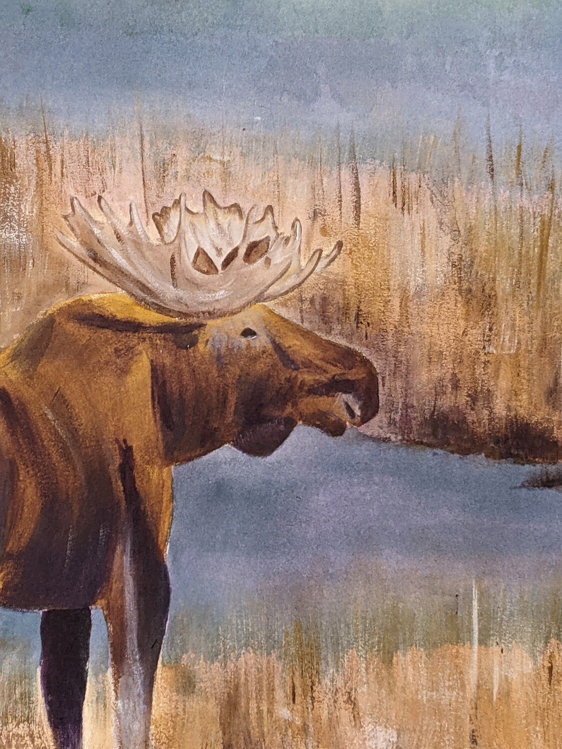 Moose in Swamp-Acrylic Hanging