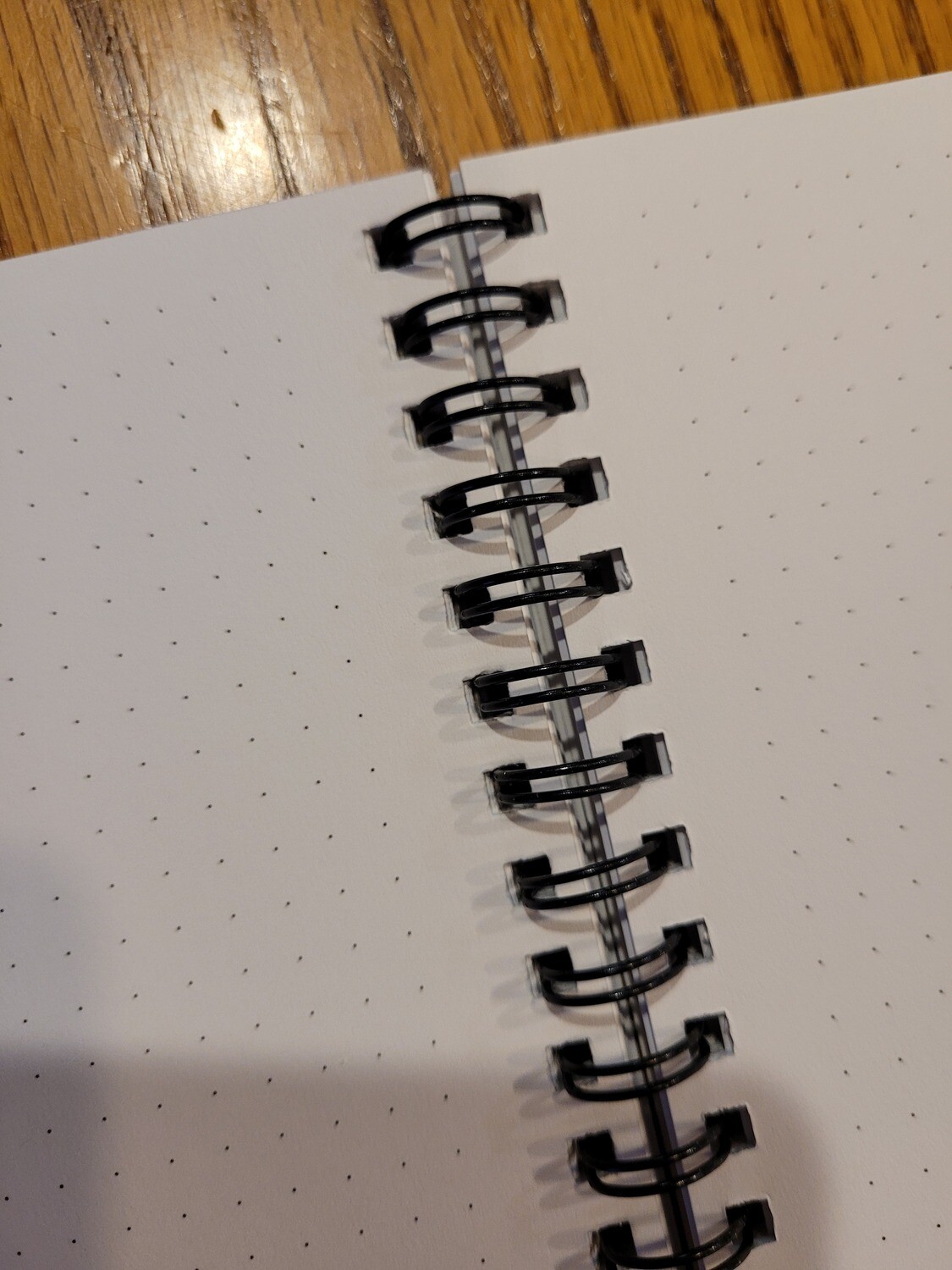 Big Dog Spiral Notebook