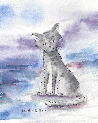 Grey Tabby