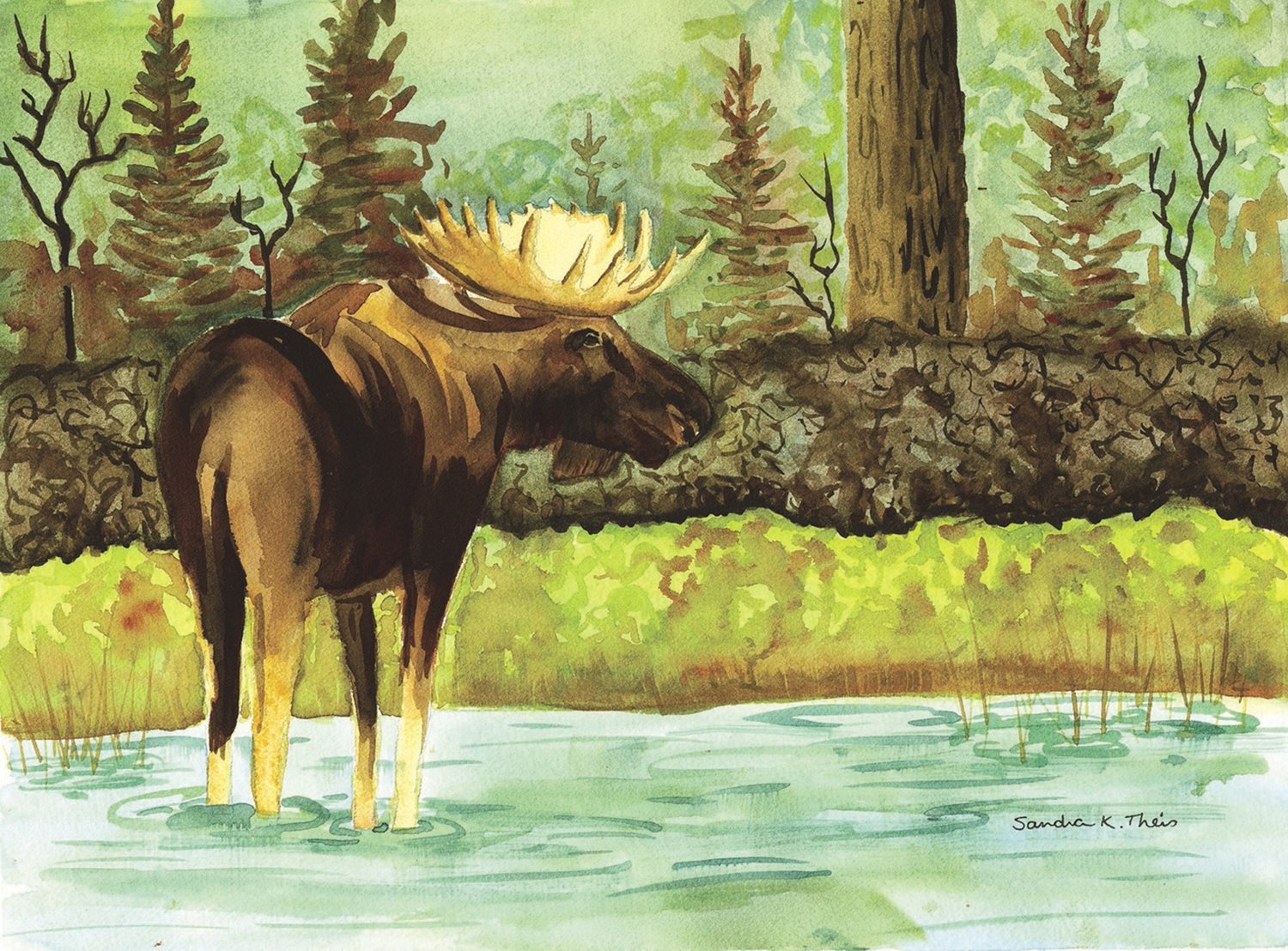 Moose WC-Print