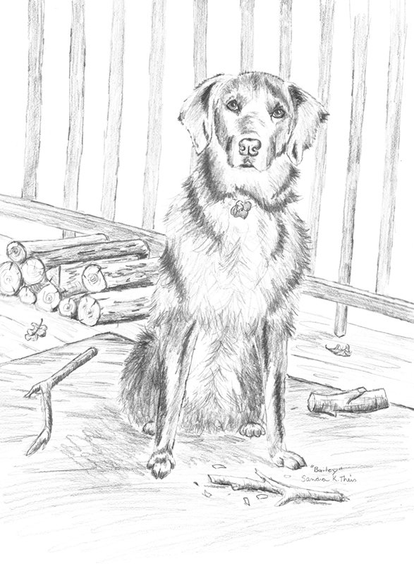 Bailey-Card