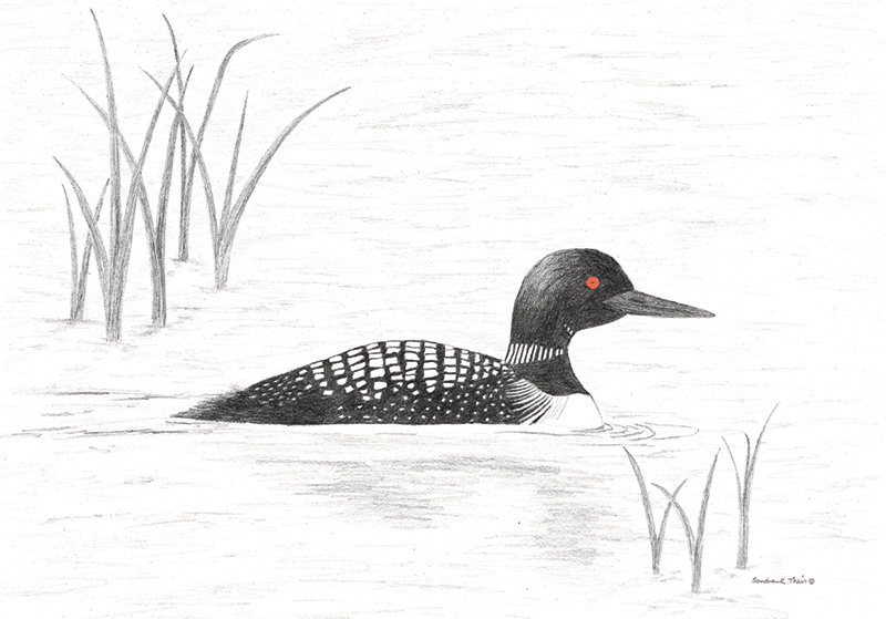 Loon-Card