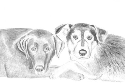Sage and Remmy-Card
