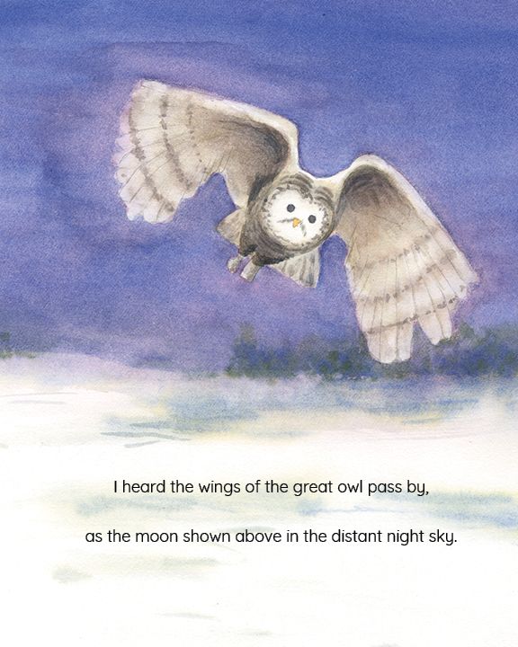 A Night's Tale by Leo