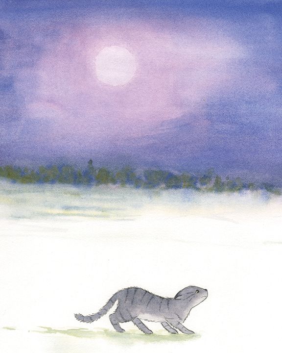 A Night's Tale by Leo