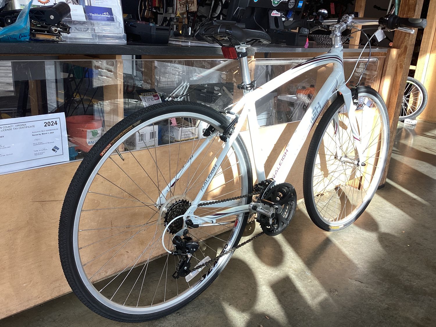 Raleigh Alysa 1