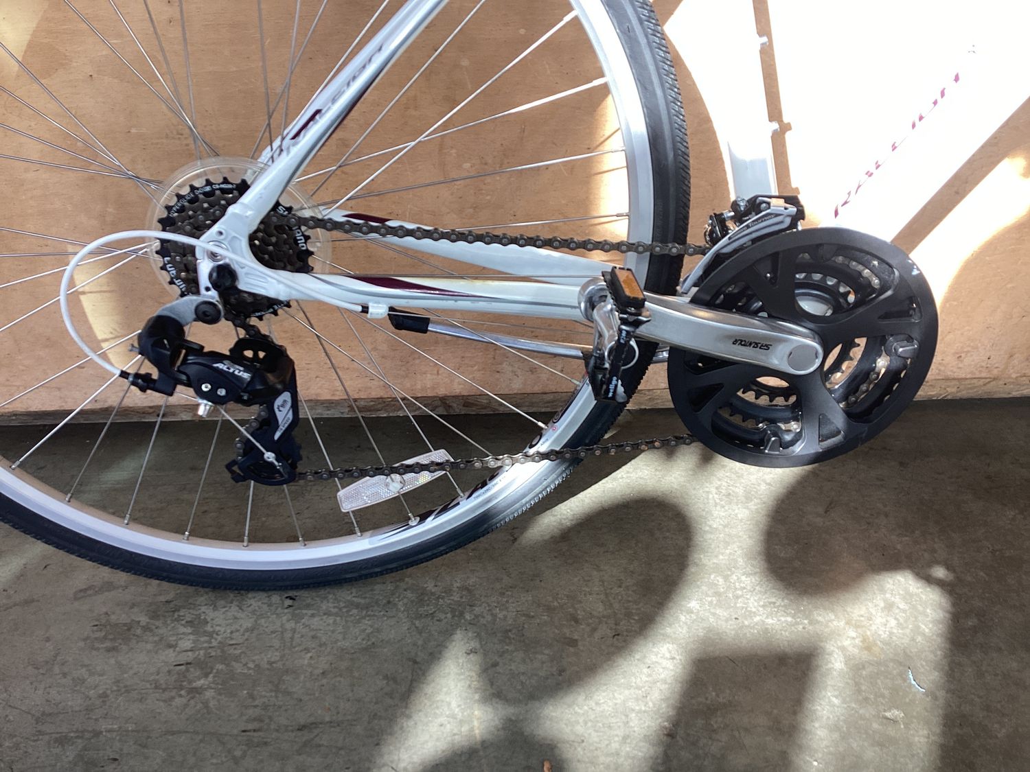 Raleigh Alysa 1