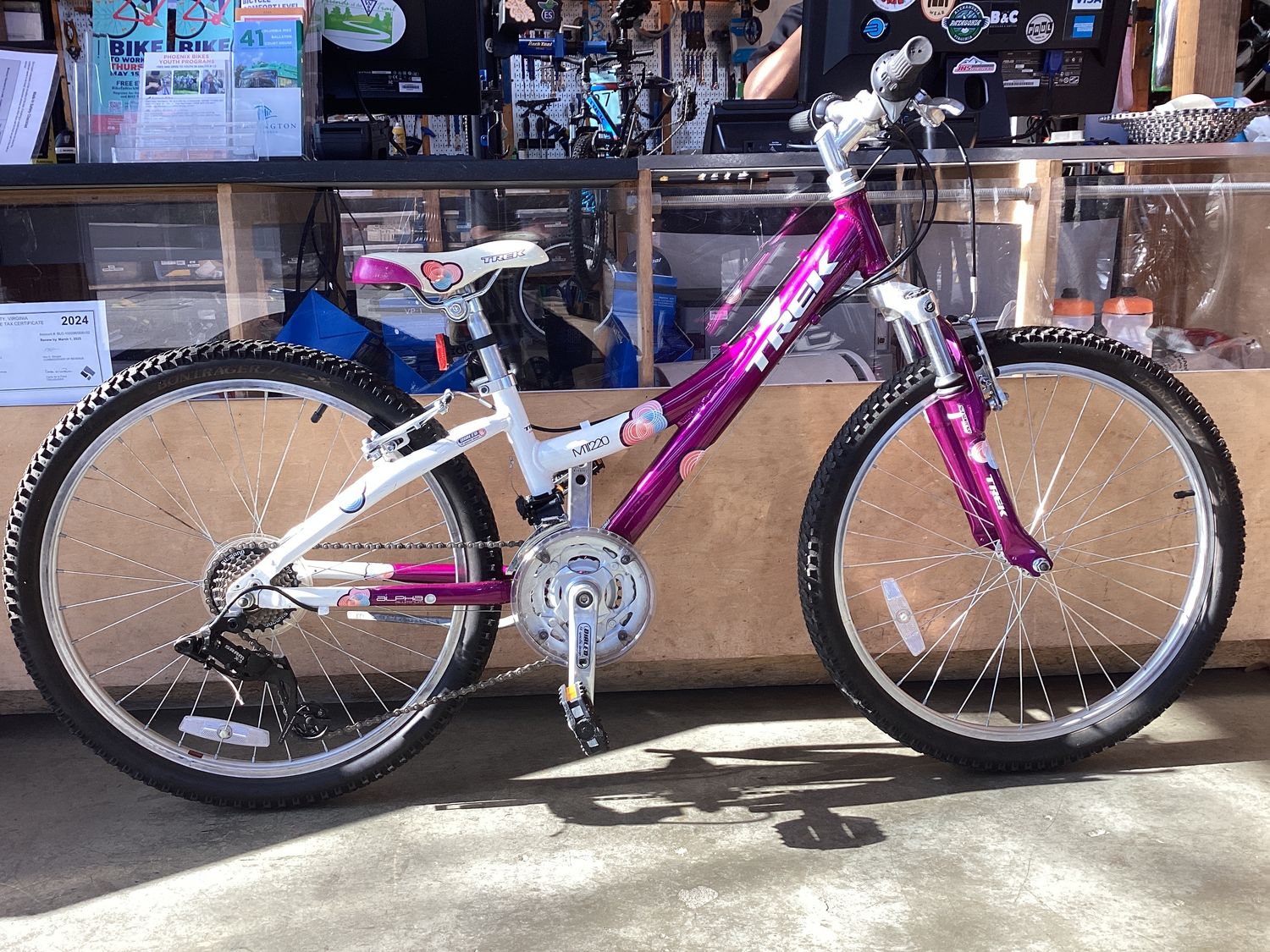 Trek MTT220