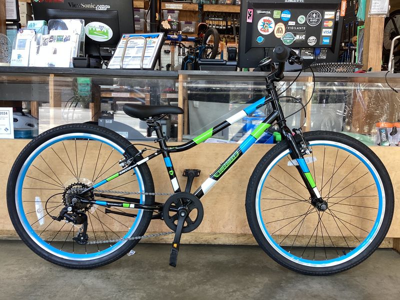 Guardian Ethos 24&quot;