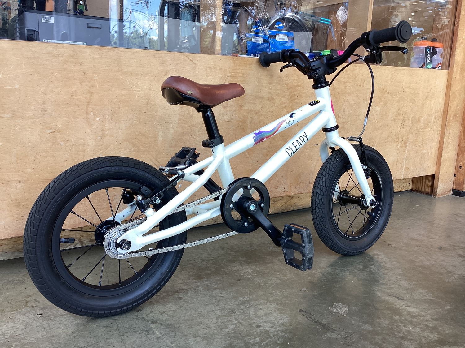 Cleary Gecko 12&quot;