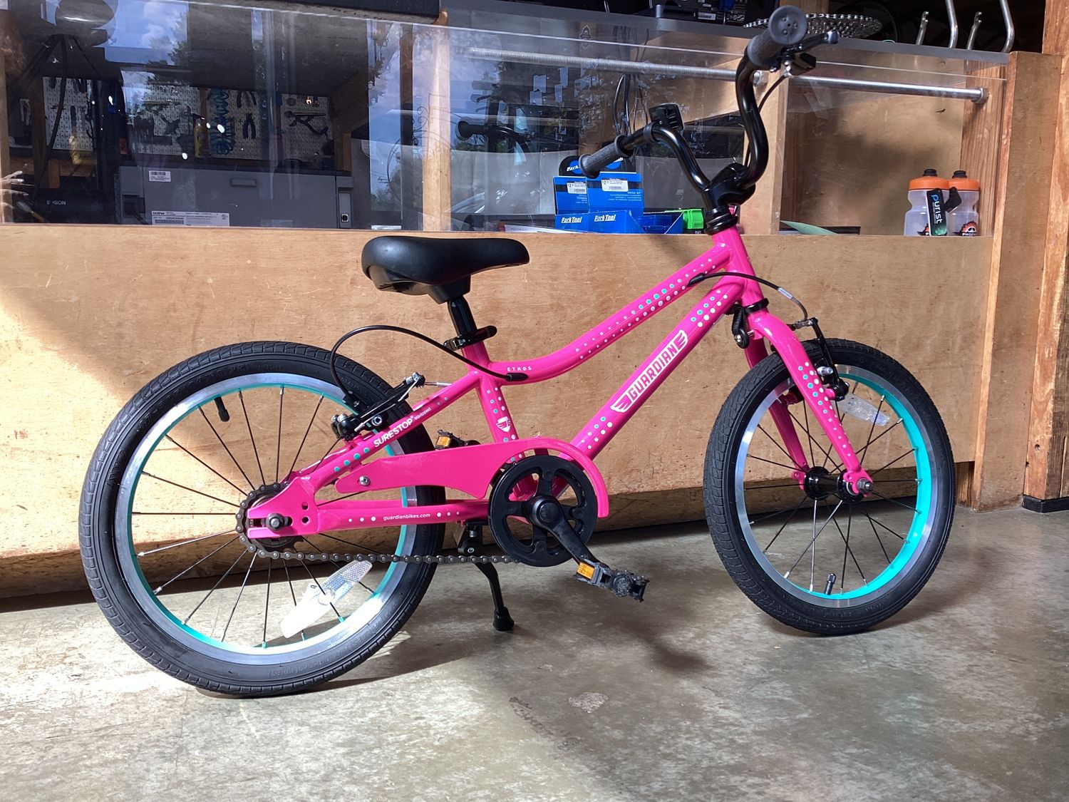 Guardian Ethos 16&quot;
