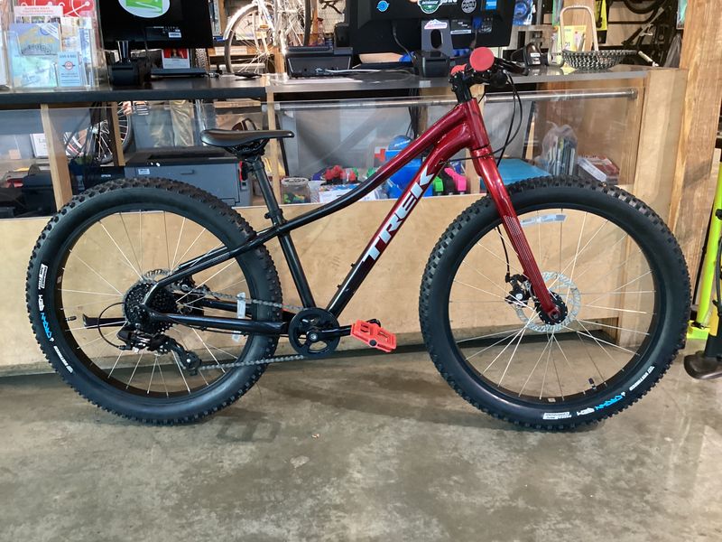 Trek Roscoe 24