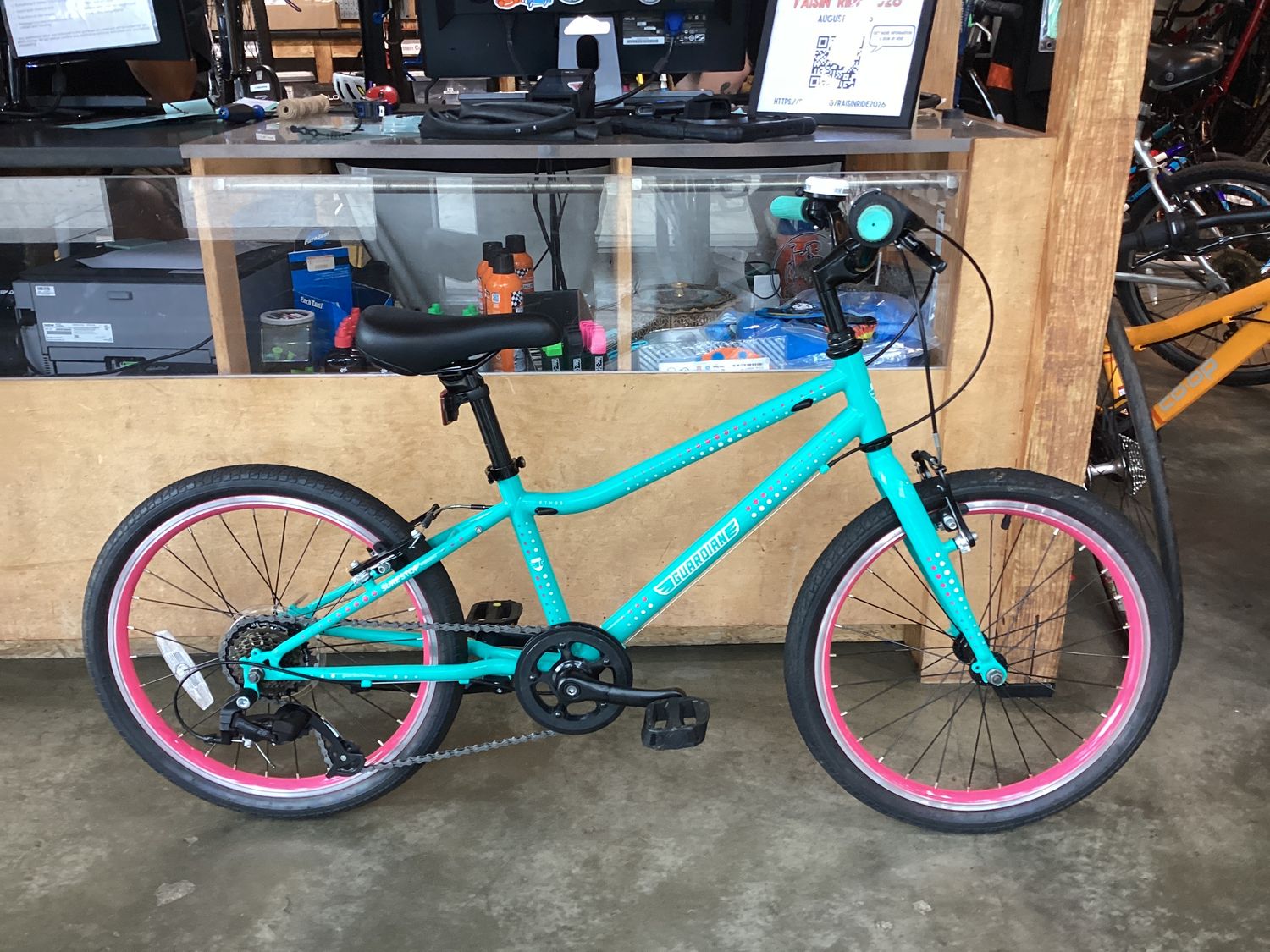 Guardian Ethos 20" Geared