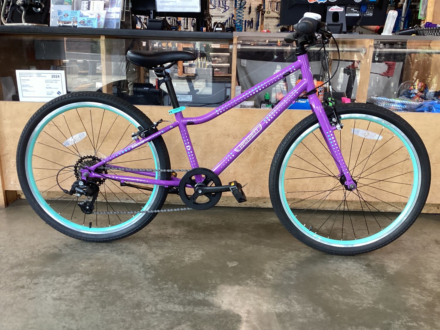 Guardian Ethos 24"
