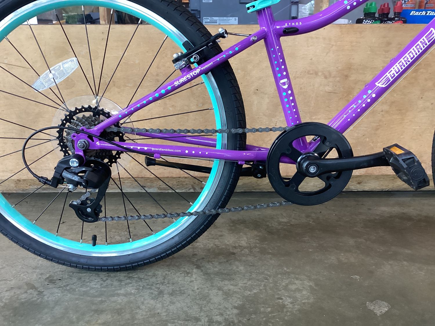 Guardian Ethos 24"