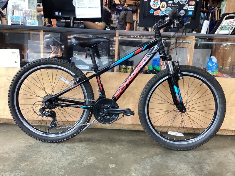 Schwinn Thrasher 24"