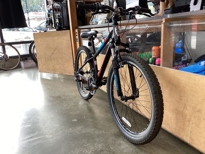 Schwinn Thrasher 24"