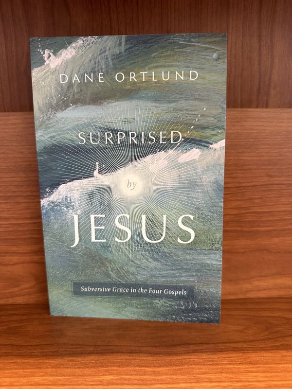 Surprised by Jesus by Dane Ortlund