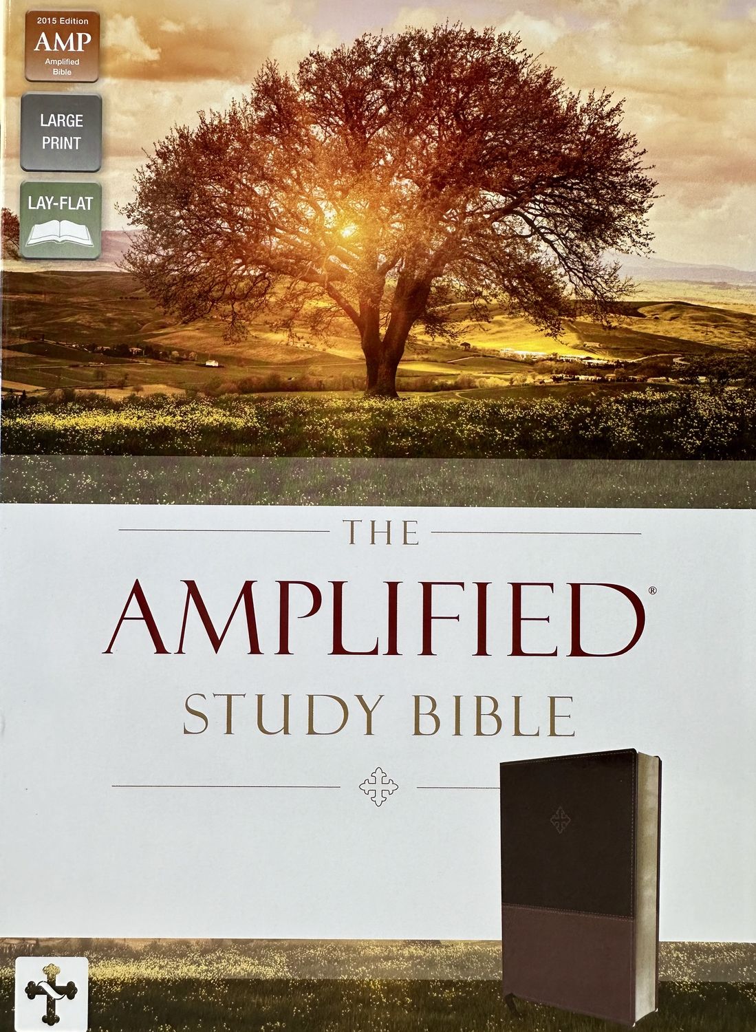 Amplified Study Bible Leather Touch