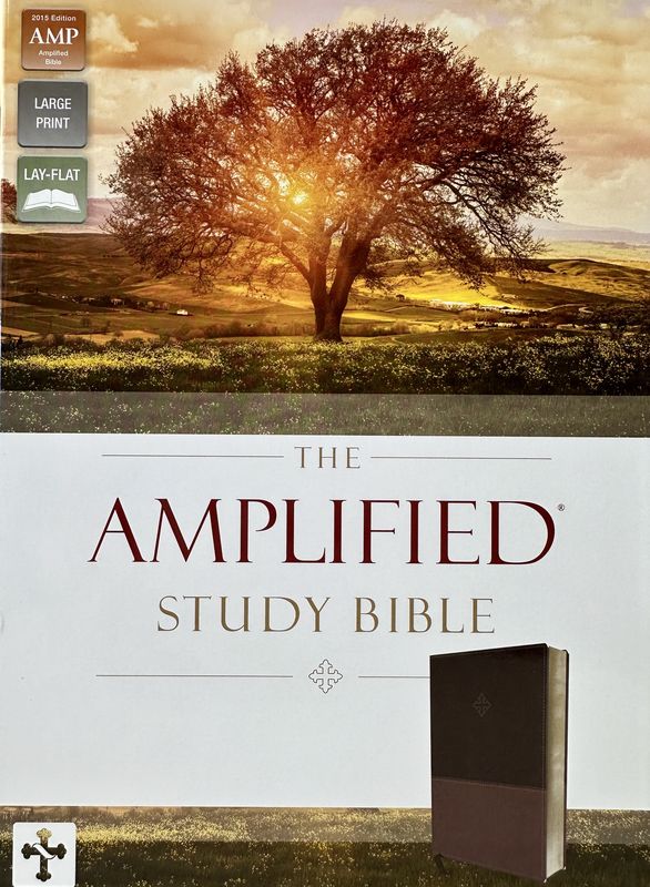Amplified Study Bible Leather Touch