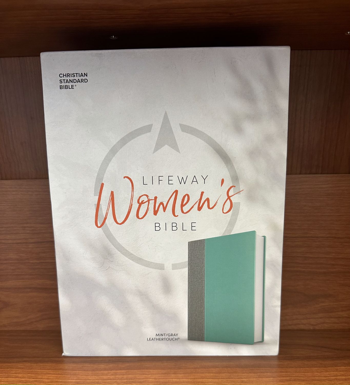 CSB Womens Bible - Mint Gray