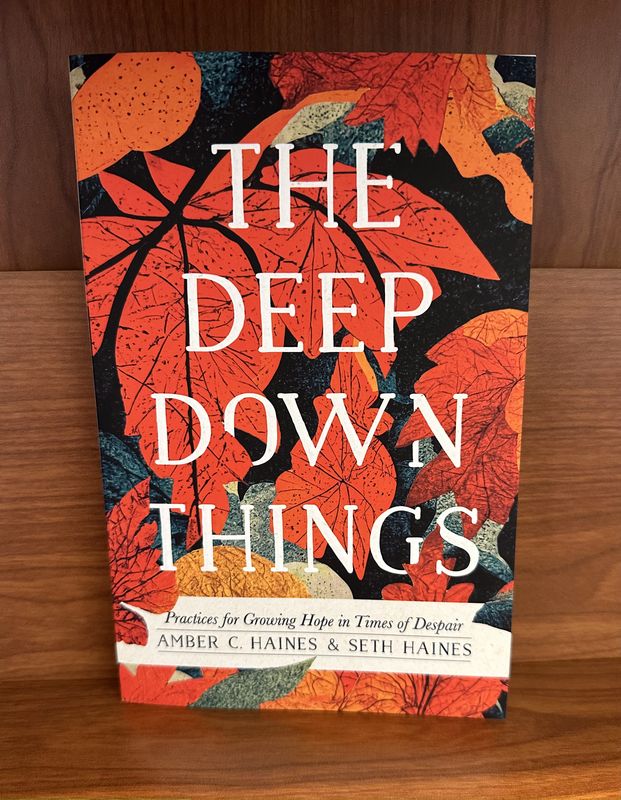 The Deep Down Things by Amber C &amp; Seth Haines
