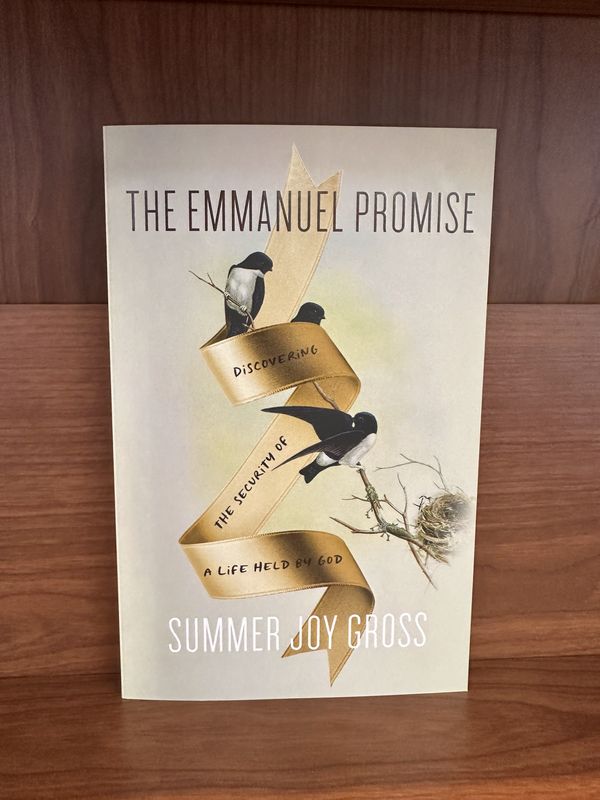 The Emmanuel Promise by Summer Gross